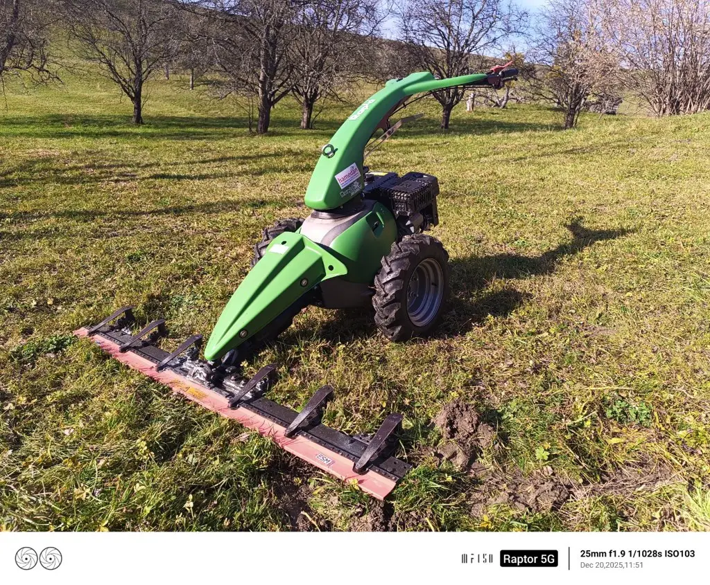 Rapid Mondo mit Messervalken