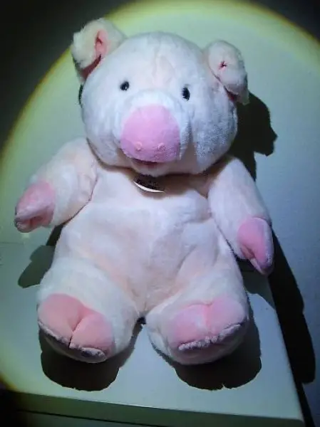 Grosses Plüschsäuli