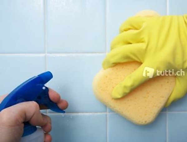 selbst. Putzfrau (alles inkl) Reg. Baden/Wettingen