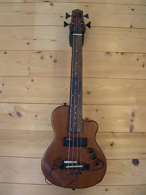 Goldtone ME-Bass fretless, shortscale