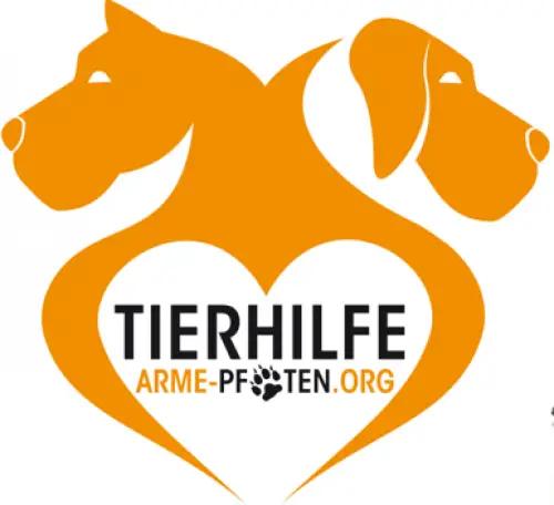Tierhilfe Arme Pfoten