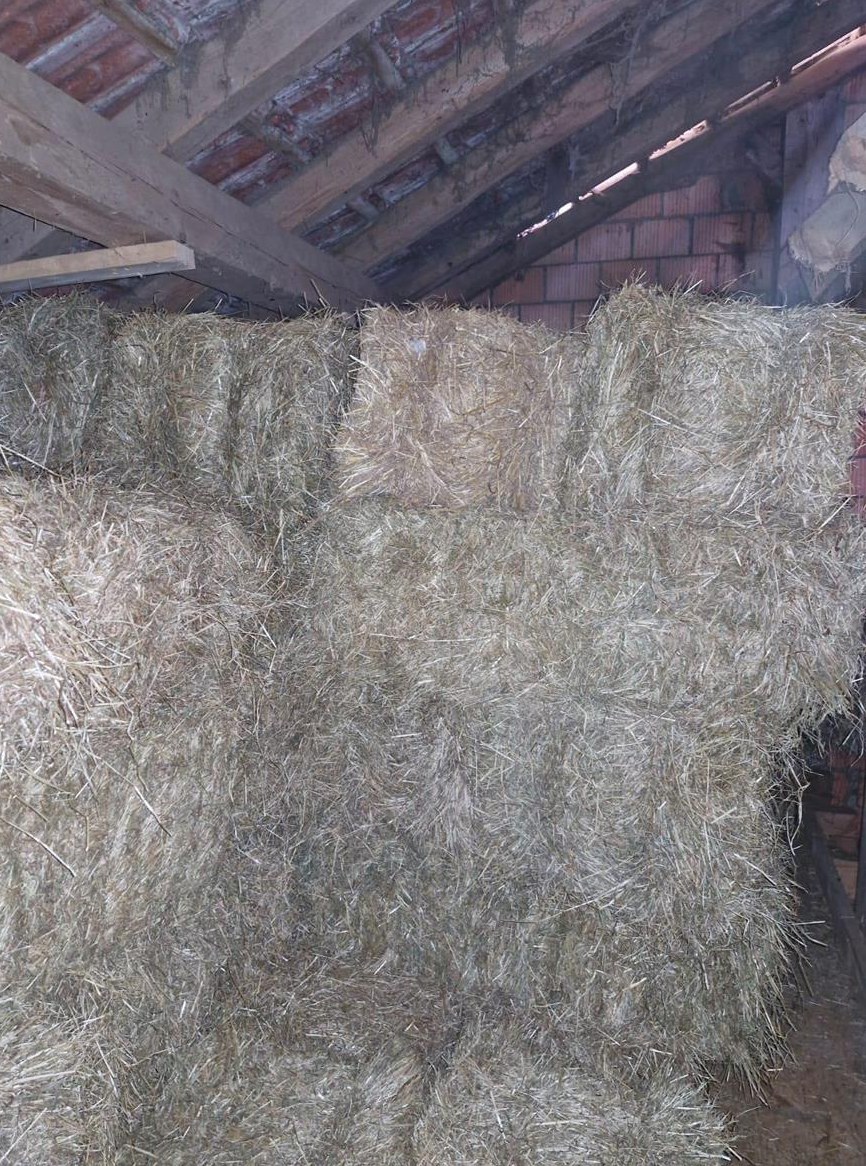 Heu Kleinballen zu verkaufen