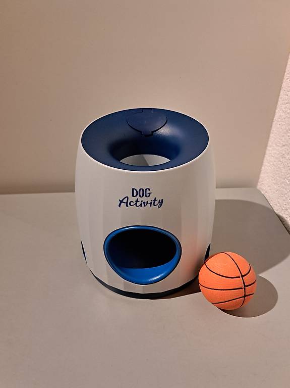 Activity Hunde training