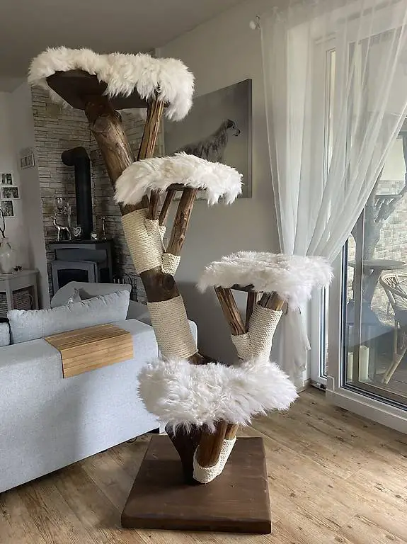 naturholzkatzenbaum holzkratzbaum premium unikat pretoria