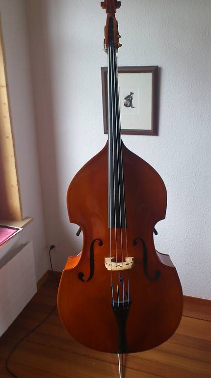 Kontrabass - Upright Bass / Doublebass mit Realist Pickup