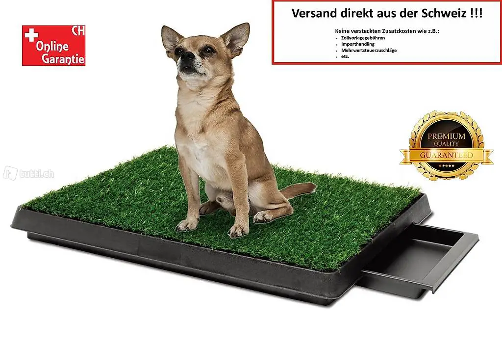 Chiot canine chien toilette toilettes familier avec herbe