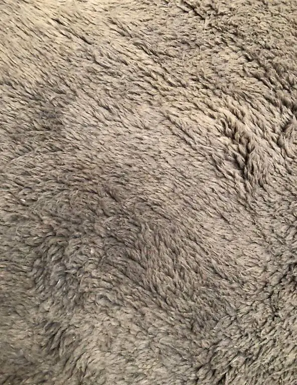 Berberteppich handgeknüpft (Mittlerer Atlas)