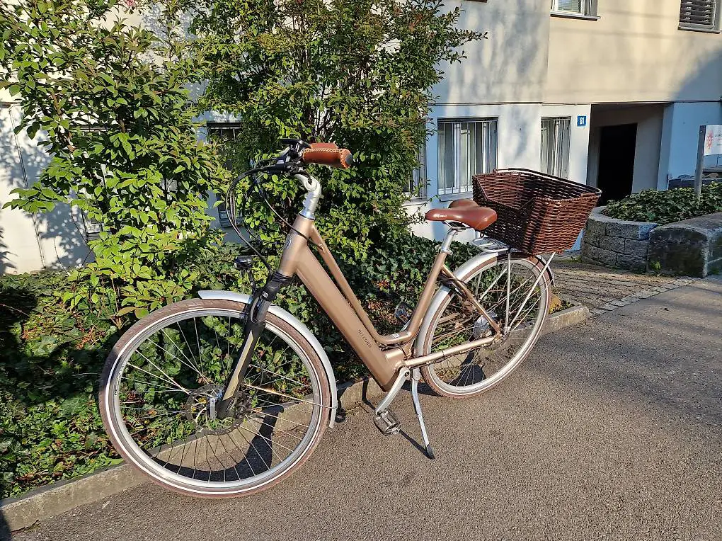 ebike Allegro Invisible City ACIL °03 - Sansibar Gold 48