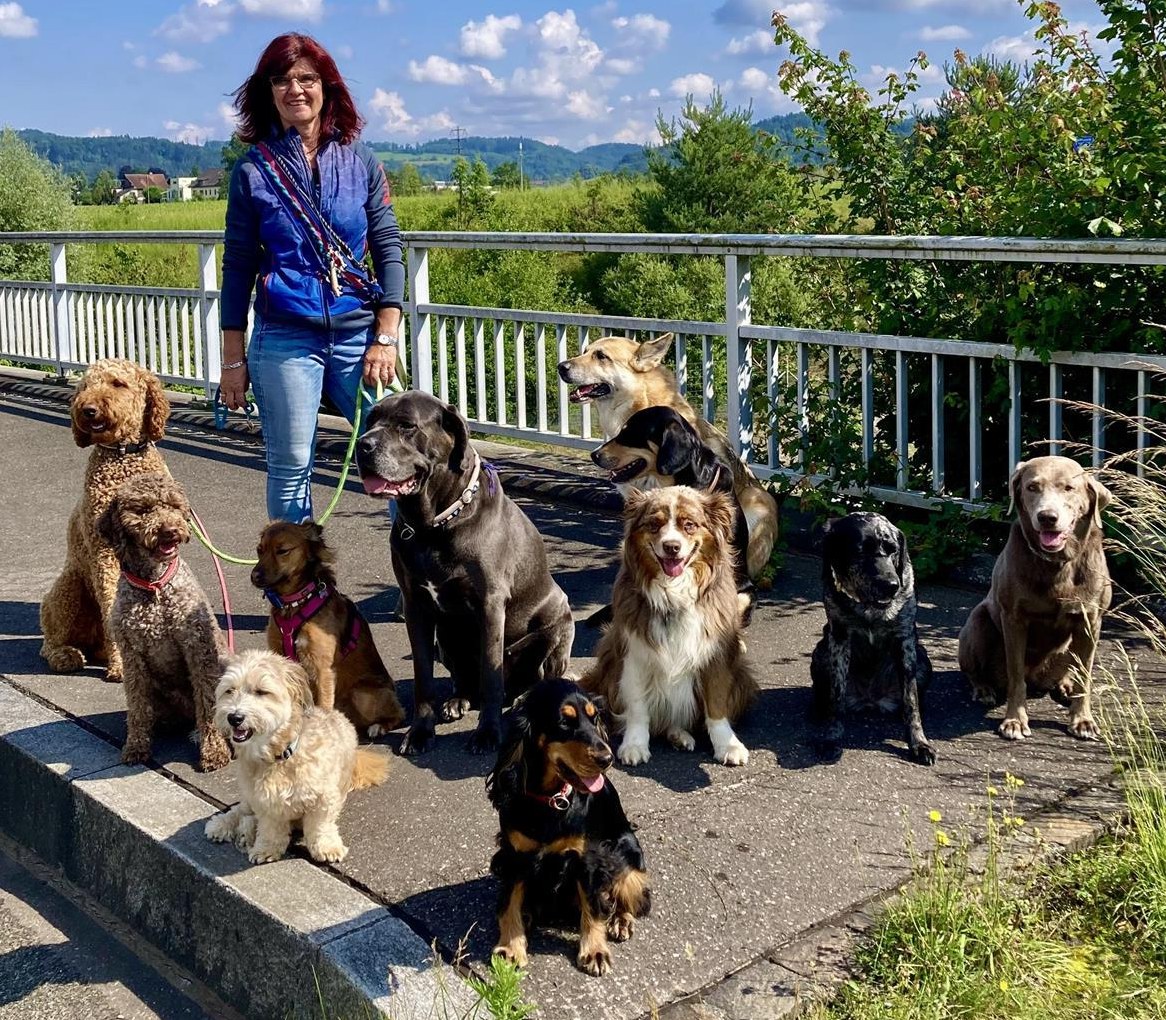 FBA Praktikantin GESUCHT, Ausbildung zur FBA Hundebetreuerin