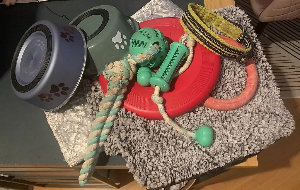 Hundezubehör Tierzubehör Diverses