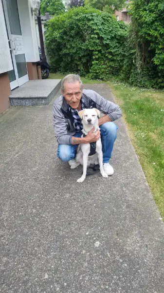 Feste Beziehung & Date