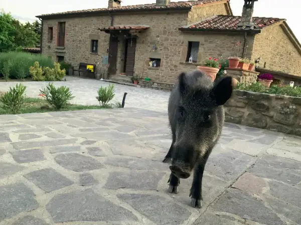 Wildromantische Reitferien in der Toskana