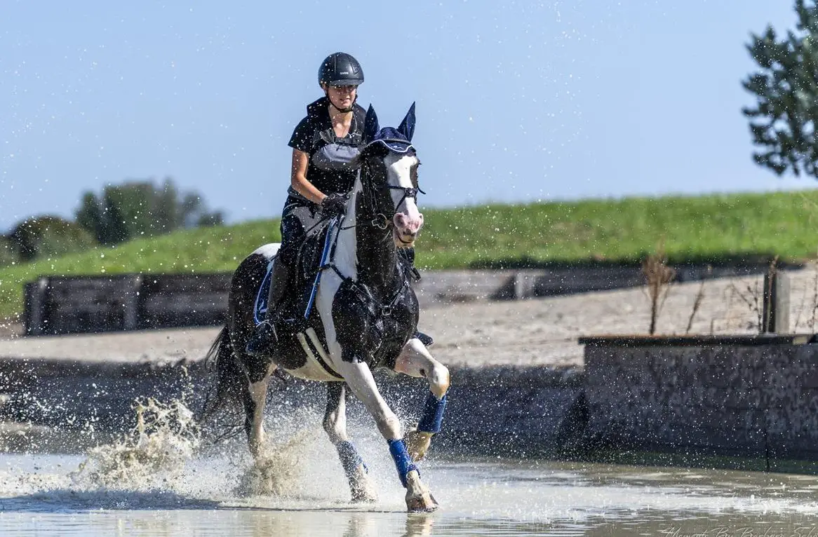 Tierfotografie ist meine Leidenschaft