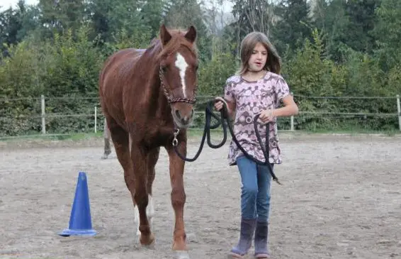 Reitferien für Kinder im Zürcher Oberland
