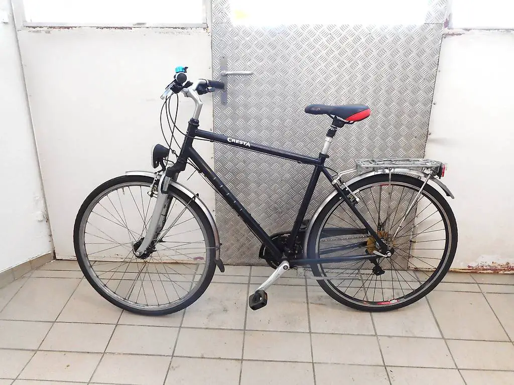 Occasion Herren Trekking Bike