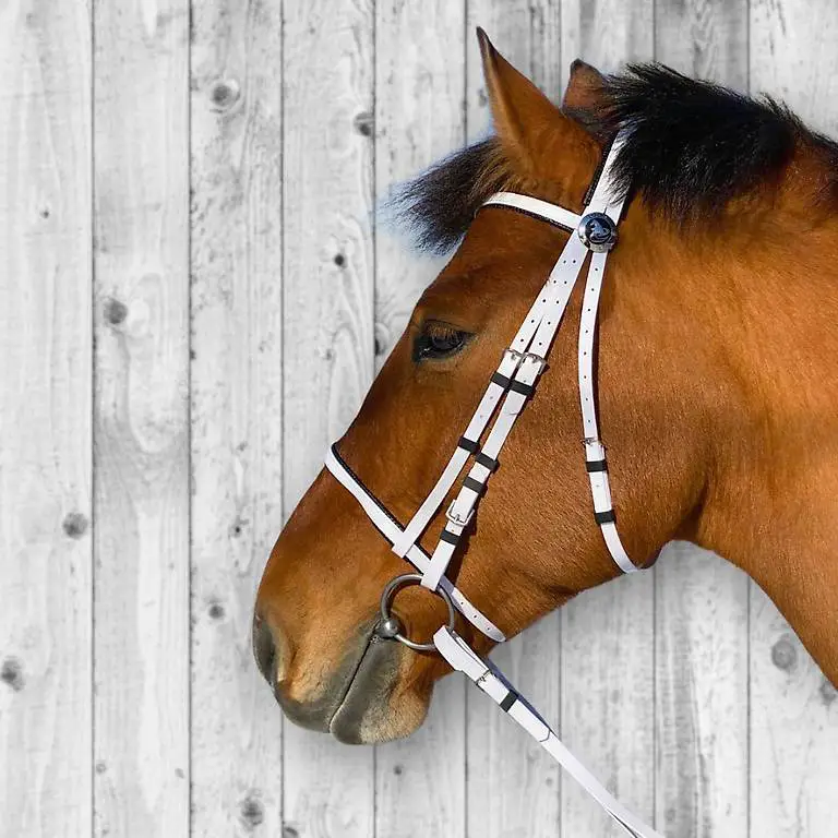 Weiss Kunststoff Pferdezaum glänzend