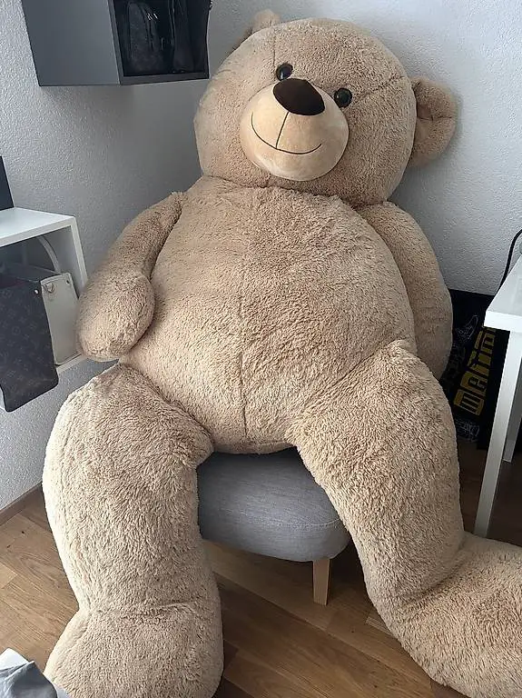 ? Kuschelbär in Lebensgrösse? bereit zum Liebhaben??