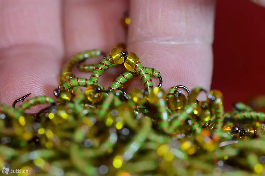  GP5 Egli Hegene Etwas vom besten