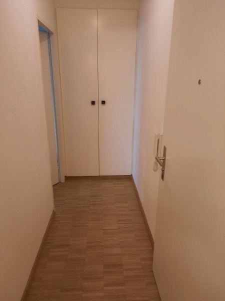 1 Zi. Wohnung, möbliert im Gundeli