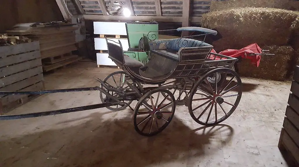 Kutsche Einspänner Rosswagen Bärner-Wägeli