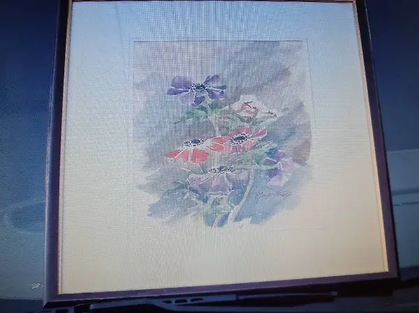 Quadro, Acquarello, Adelma Mapelli