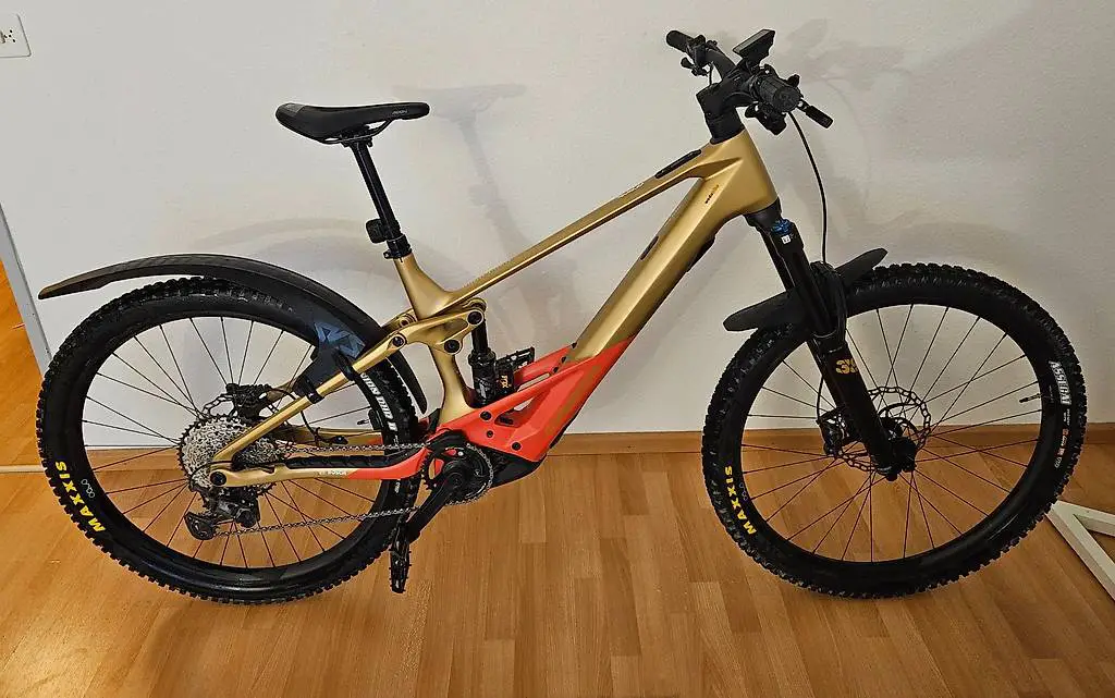 Orbea Wild M10 Carbon