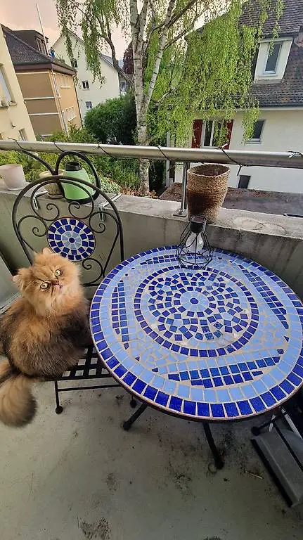 Mosaik-Balkonset (Tisch + 2 Stühle) - renovierungsbedürftig