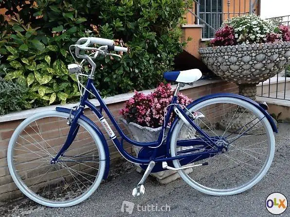  Vitage Citybike Holland Velo 3Gang