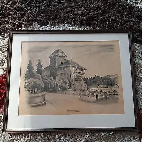 Bild Schloss Frauenfeld Original Steinzeichnung E. E. Schlat