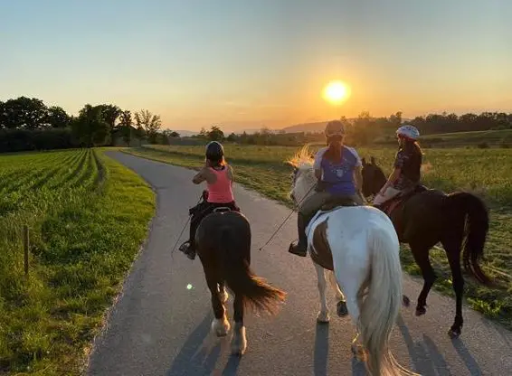 Reitbeteiligung auf Tinker, Wilkapolska, Zigeuner in Riedt, Erlen TG
