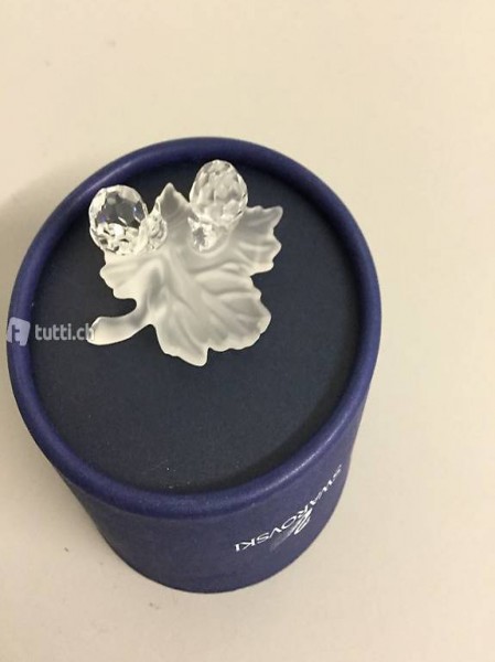 Babys Schnecken auf Blatt