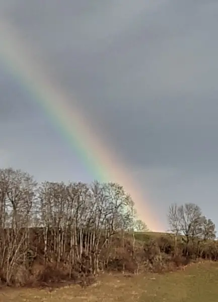 Selbstversorger Offenstall mit Wohnung gesucht