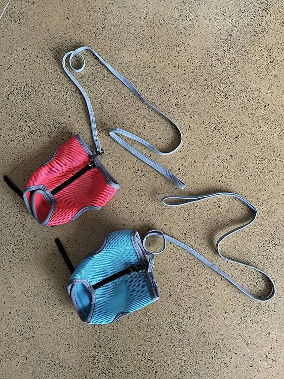 Kleintier Brustgurt mit Leine