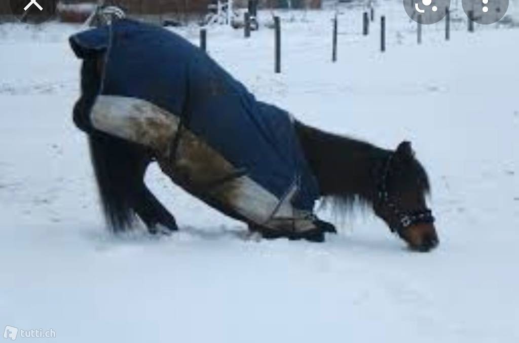 Pferdedecken waschen