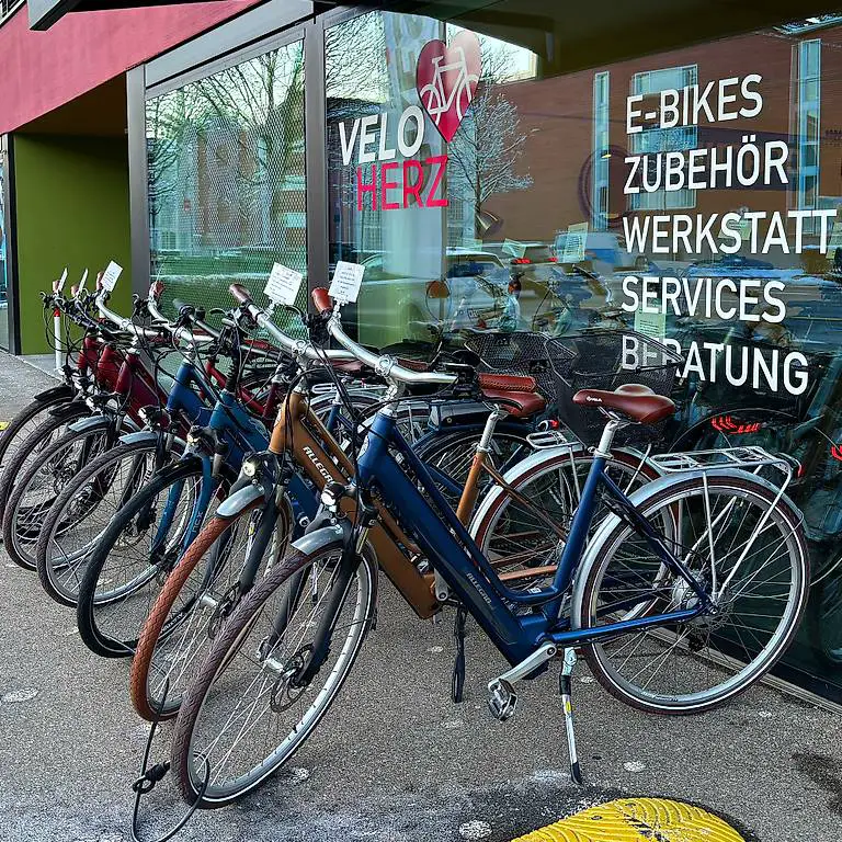 Allegro Acil City ebike 504wh Fahrrad Ebikes Veloherz