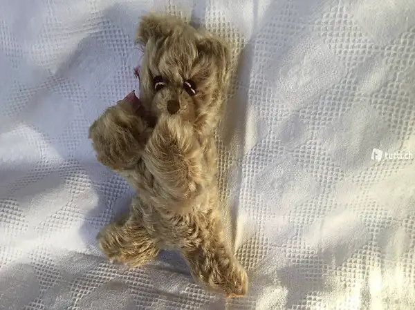 Steiff-Schlaf Teddybär