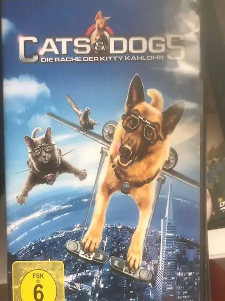 Cats and Dogs