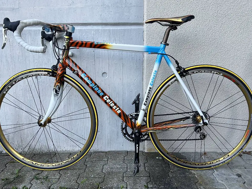 Rennrad Campione Celeste Airbrush Tiger