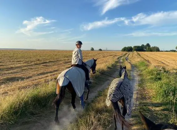 Bieten Reitferien / Reiturlaub in Polen