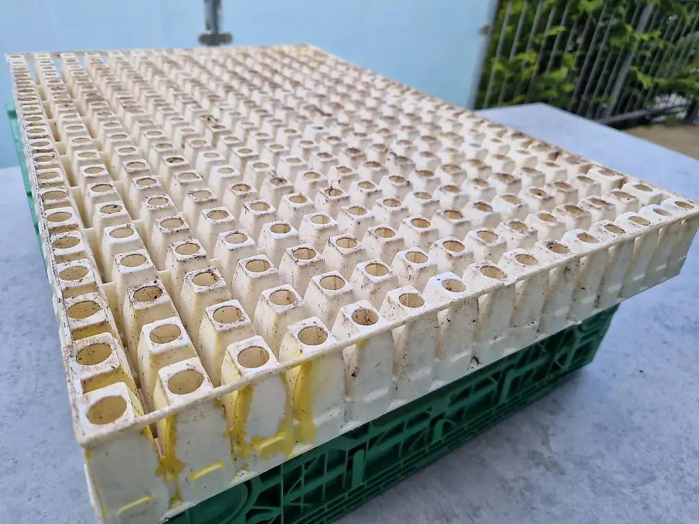 Anzuchtplatten für Setzlinge