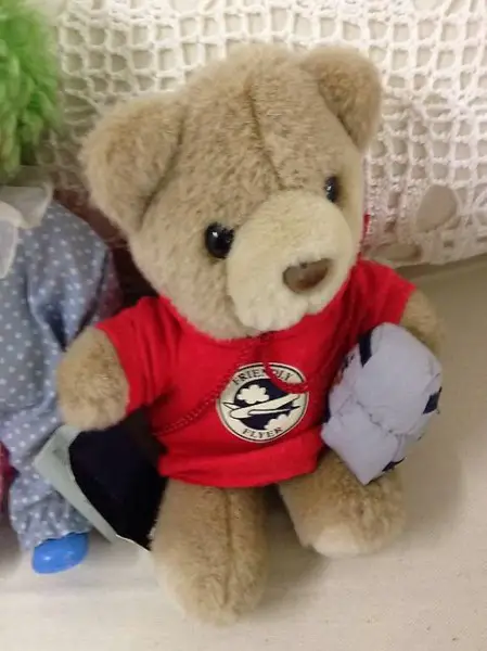 American Airlines Teddy Bär - Sammelbär