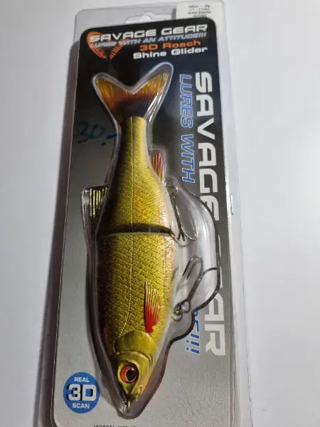 poisson Nageur Brochet