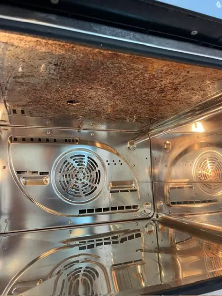 Professionelle Backofen-Reinigung, chemiefrei