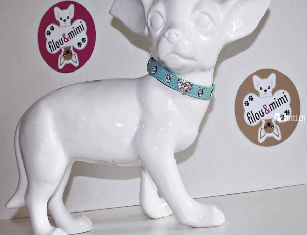  M+F Halsband BLINGHERZ für chihuahua Gr.XS