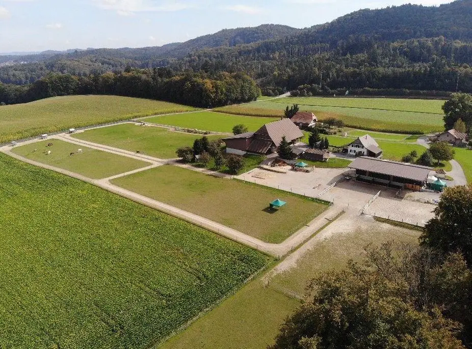 Suchen Stallhilfe / Landwirtschaftlicher Mitarbeiter, Teilzeit