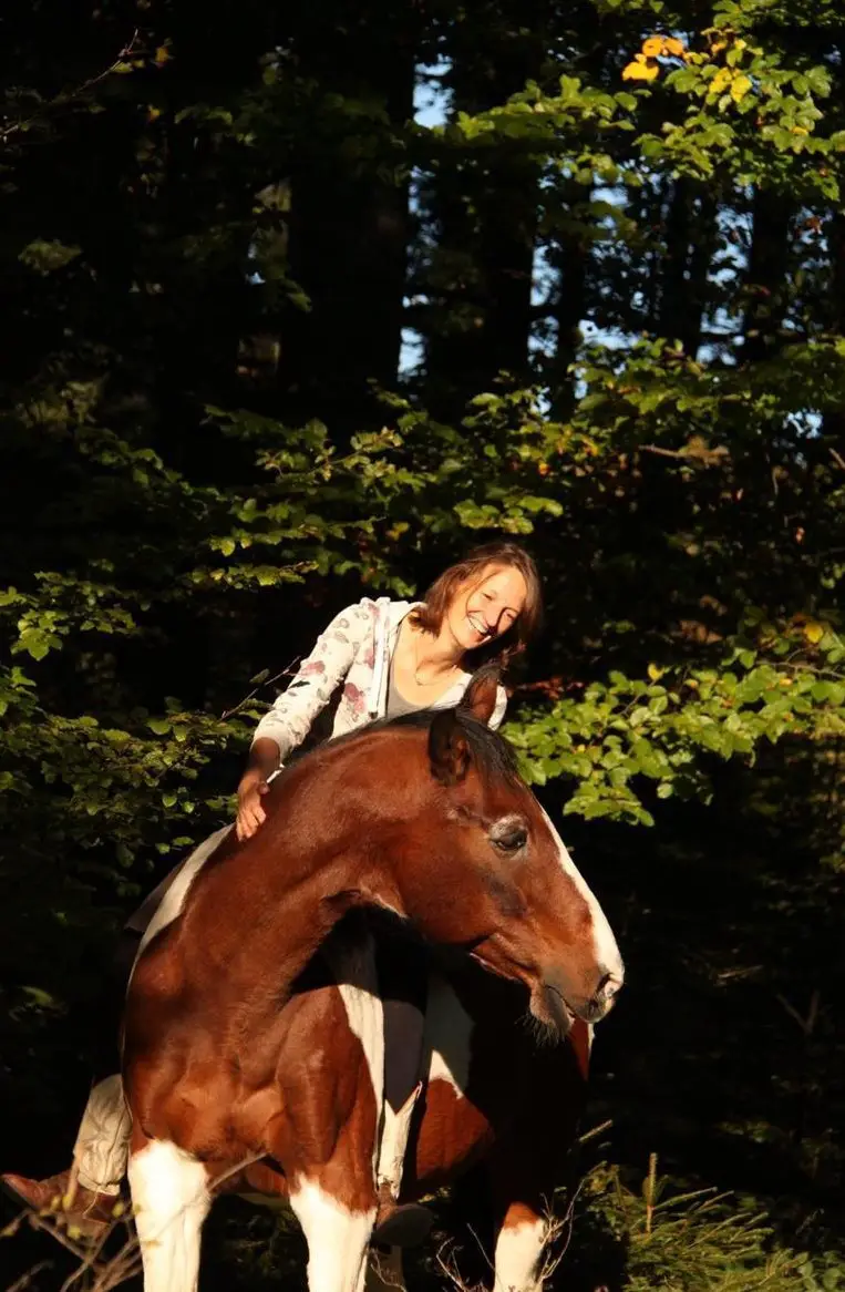 Private Reitstunden und Therapie für Kinder
