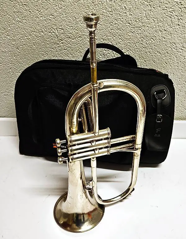 Flügelhorn BESSON für Anfänger oder Gugge (Occ.)