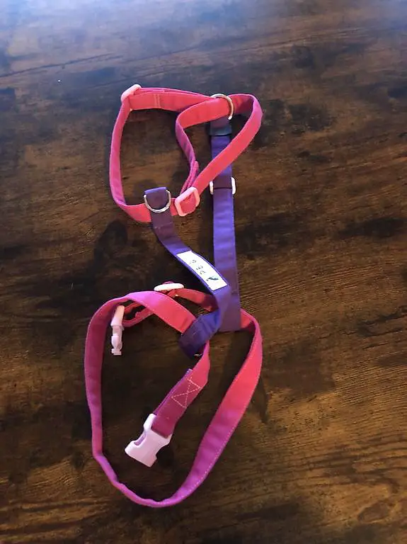 Hundegeschirr nagelneu bis 60 cm Schulterhöhe