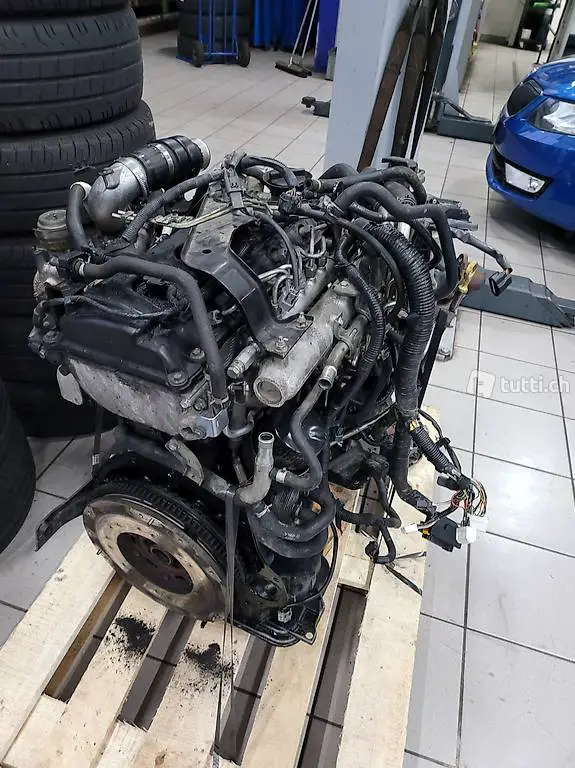 Nissan Navara 2,5 Motor Defekt