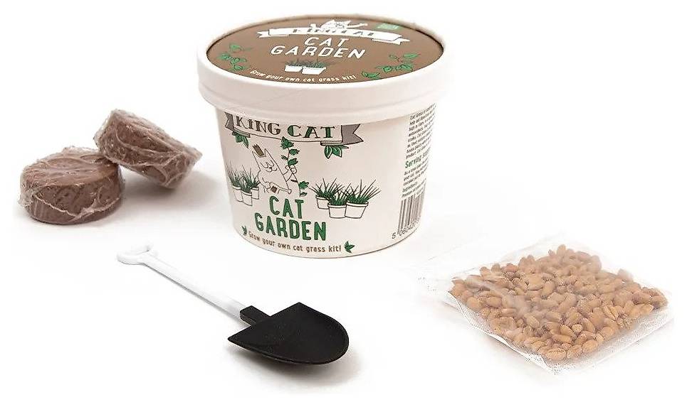 Katzengras Set (King Catnip)